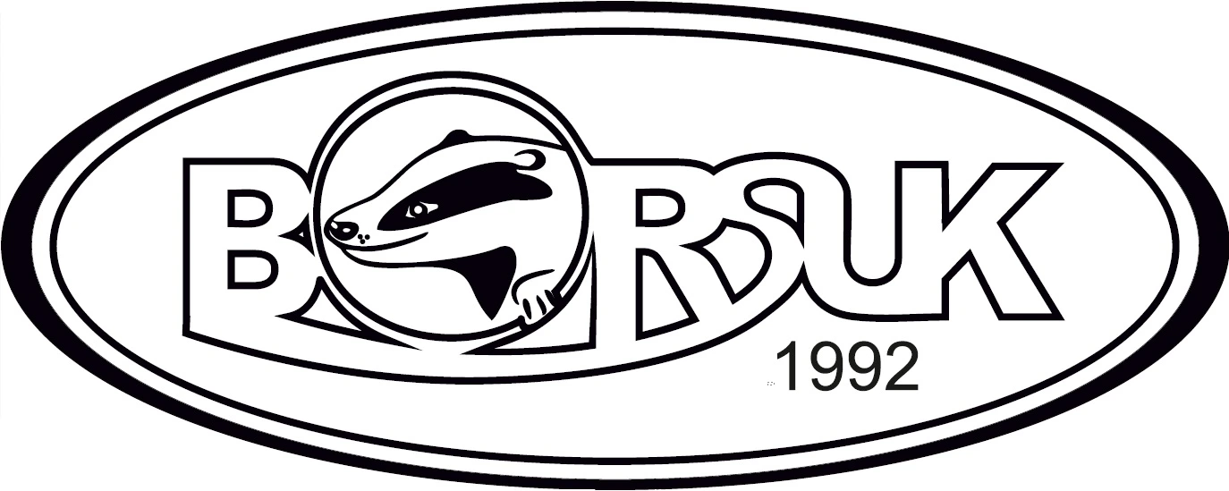 Borsuk