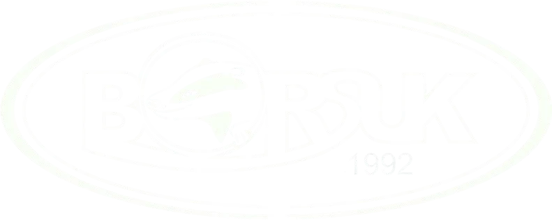 Borsuk